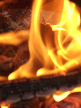 Global Warming: Burning the Earth as well as Our Conscience