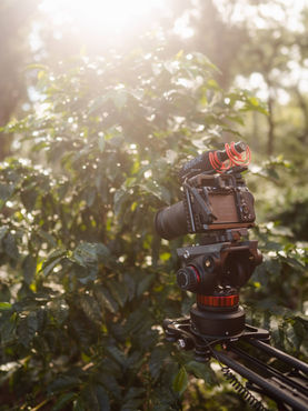 Documentary Films and Pro-Environmental Behavior
