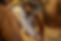 DSC09074.jpeg