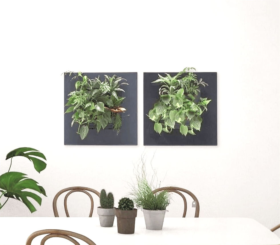 Cadres Végétaux Or Végétal 2.jpg