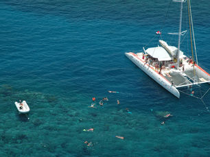 Vorbereitung auf Seekrankheit: Tipps für empfindliche Reisende