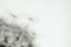 iStock-961101894-web.jpg