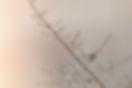 iStock-1365885522.jpg