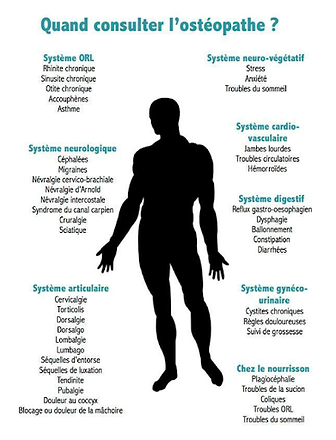 OSTEO SCHEMA.png