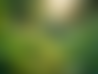 The Importance of Sustainable Living in Today's World