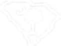 Transparent South Carolina State Flag.png