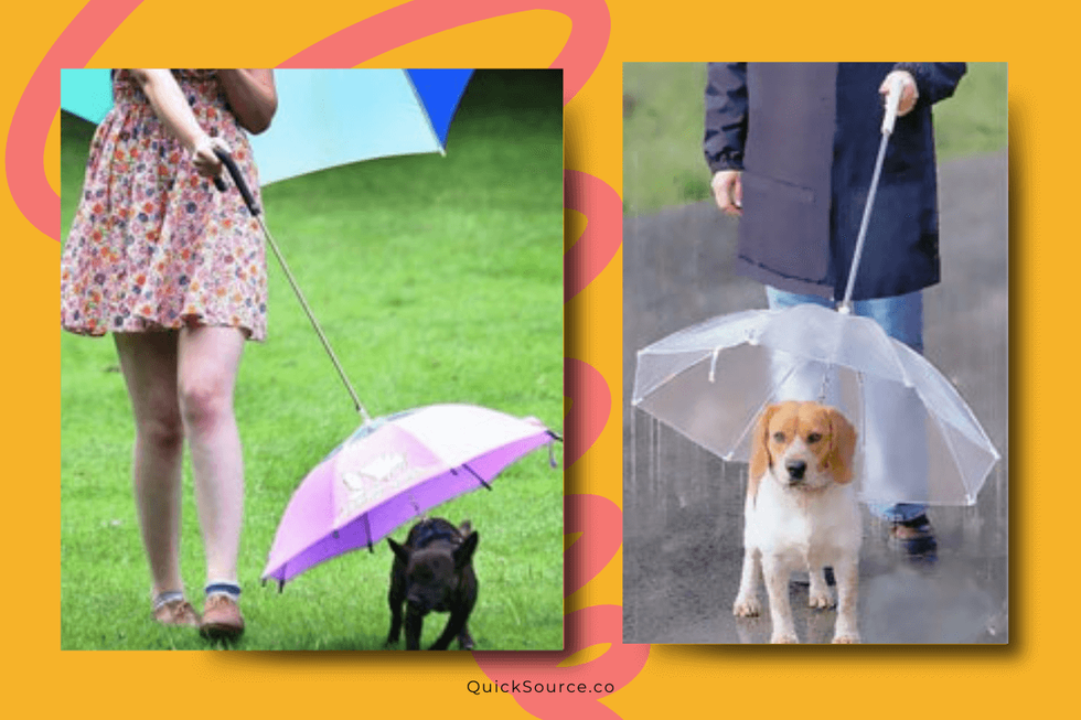 Dog Umbrella Product Review Success or Failure