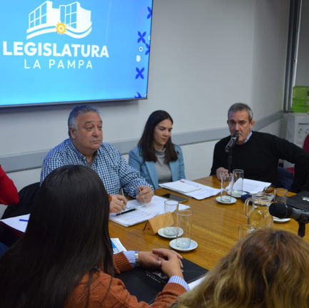 Medanito: “estamos cerca, tenemos que convencer a cinco diputados y diputadas”