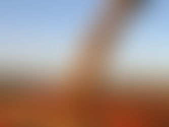 El Gobierno elimina retenciones a los granos hasta el 31 de octubre