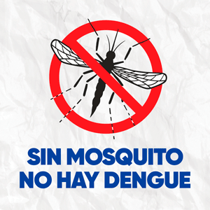 dengue-2025.gif