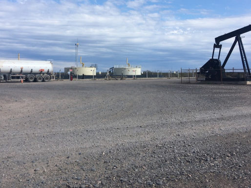 Pampetrol definirá licitación de Medanito Sur