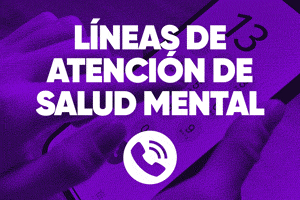 lineas.gif