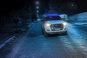 101_POLICIA_300x200.gif