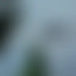 Siete muertos en San Juan al caer helicóptero de control de incendios