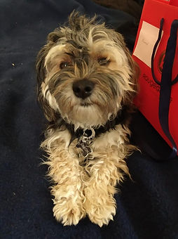 69508742_1139731536214131_66081776473001