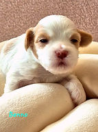 20260509_110046_edited.jpg
