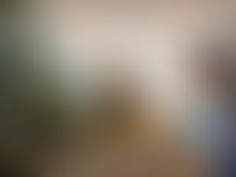 RESUMEN DEL AÑO (Parte II)