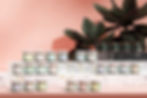 Lifestyle Collection .jpg