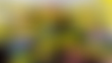 Tariffs and Emerging Markets