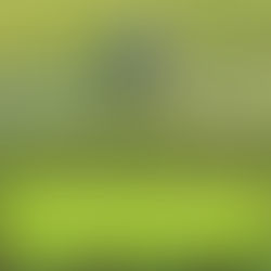 CENTRE STATE DISPUTE ON FARM LAWS:  A LEGAL PERSPECTIVE