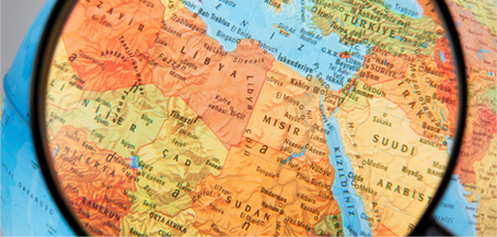 Financial Perspective into the Middle East and North Africa