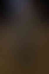 Alexander McQueen runway 2025 fall winter