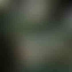 Uzungöl- Trabzon Cami