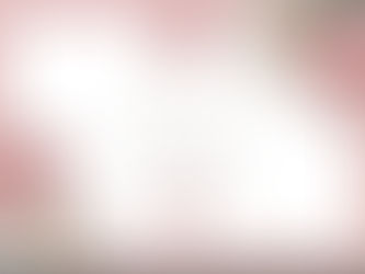 When did I start freelancing?