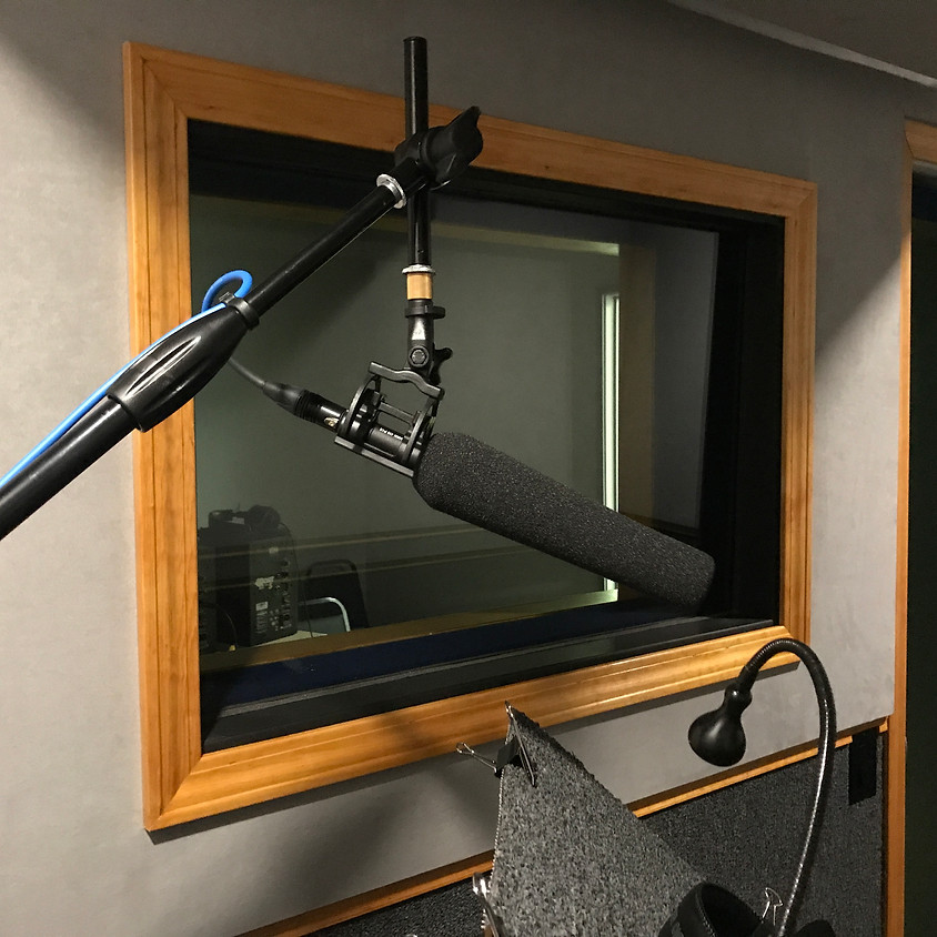 Voice Over Intensive