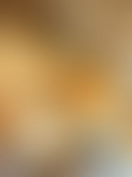 Maple frosted cinnamon buns