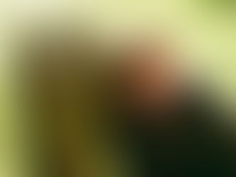 BOOK OF CHURCHES releases self-titled debut album