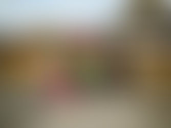 ALBUM REVIEW - SKINDRED – YOU GOT THIS