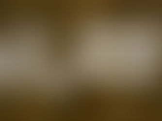 ALBUM REVIEW - Inkubus Sukkubus – Eternal Monsters