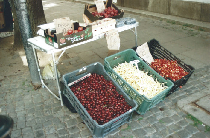 sour cherry season