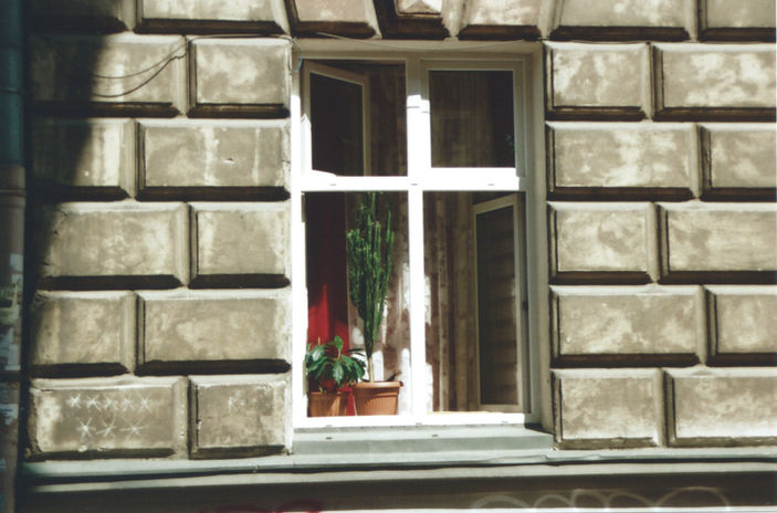 sunny window in przemyśl
