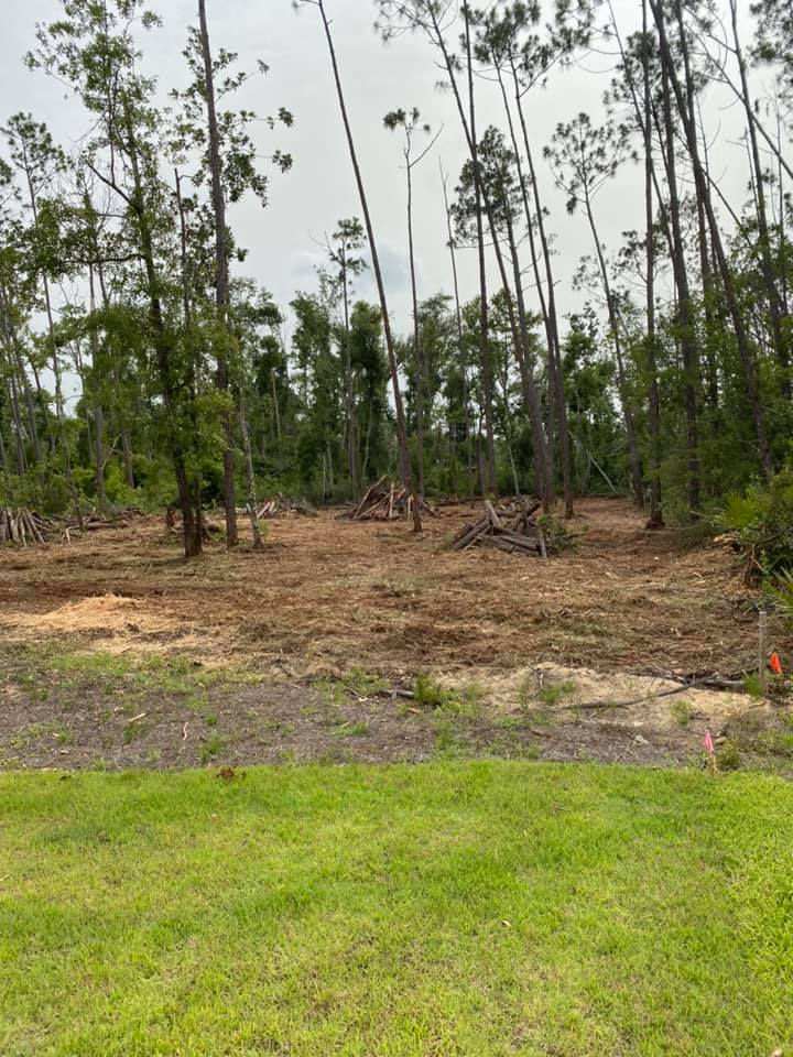 jw land management land clearing bay county.jpg