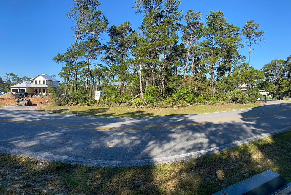 Site clearing Site preparation panama city florida.jpg