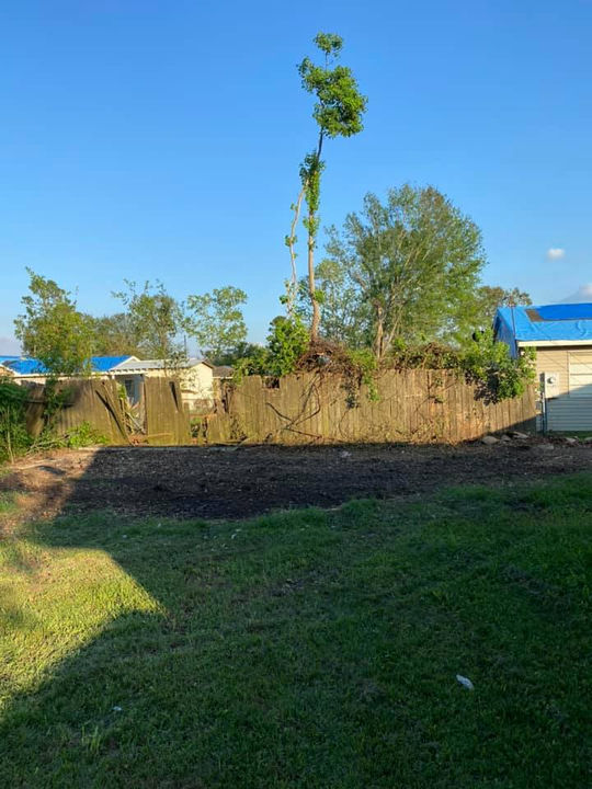 Panama City Florida Debris Removal