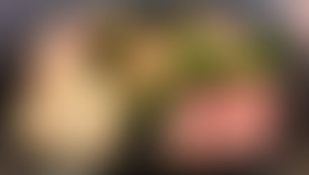 2025.12 🎄Xmasオードブル