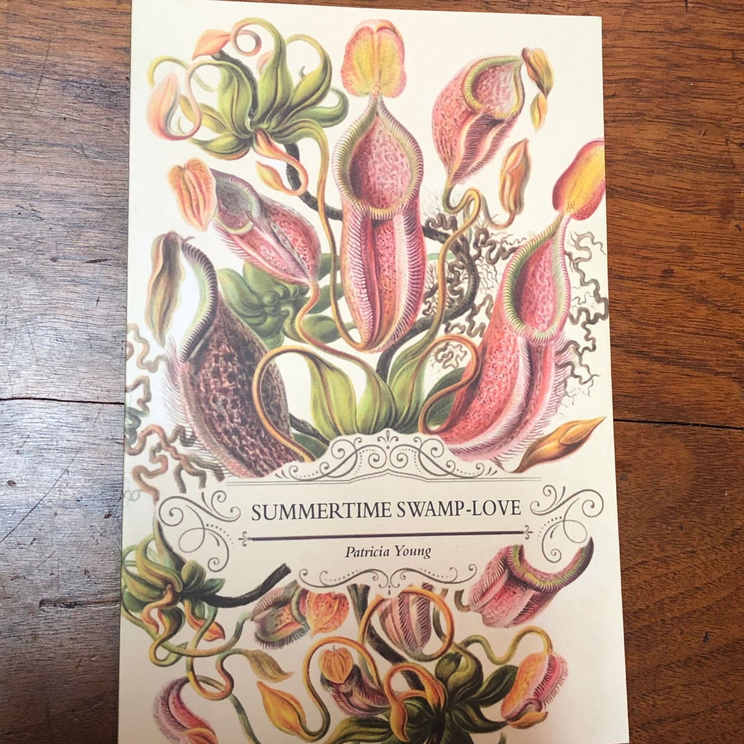 Young, Patricia - Summertime Swamp - Love softcover 