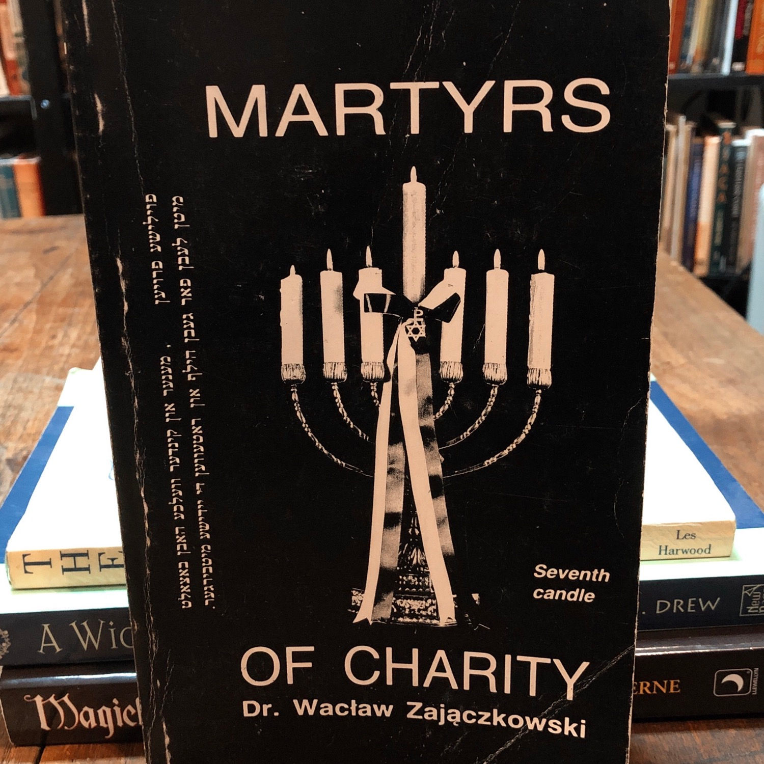 Zajaczkowski, Waclaw - Martyrs of Charity pt. 2