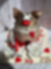 b5c1cbc3-a3db-4a68-aaaf-b4a77c3af5c6.jpeg