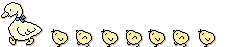 ducks.gif