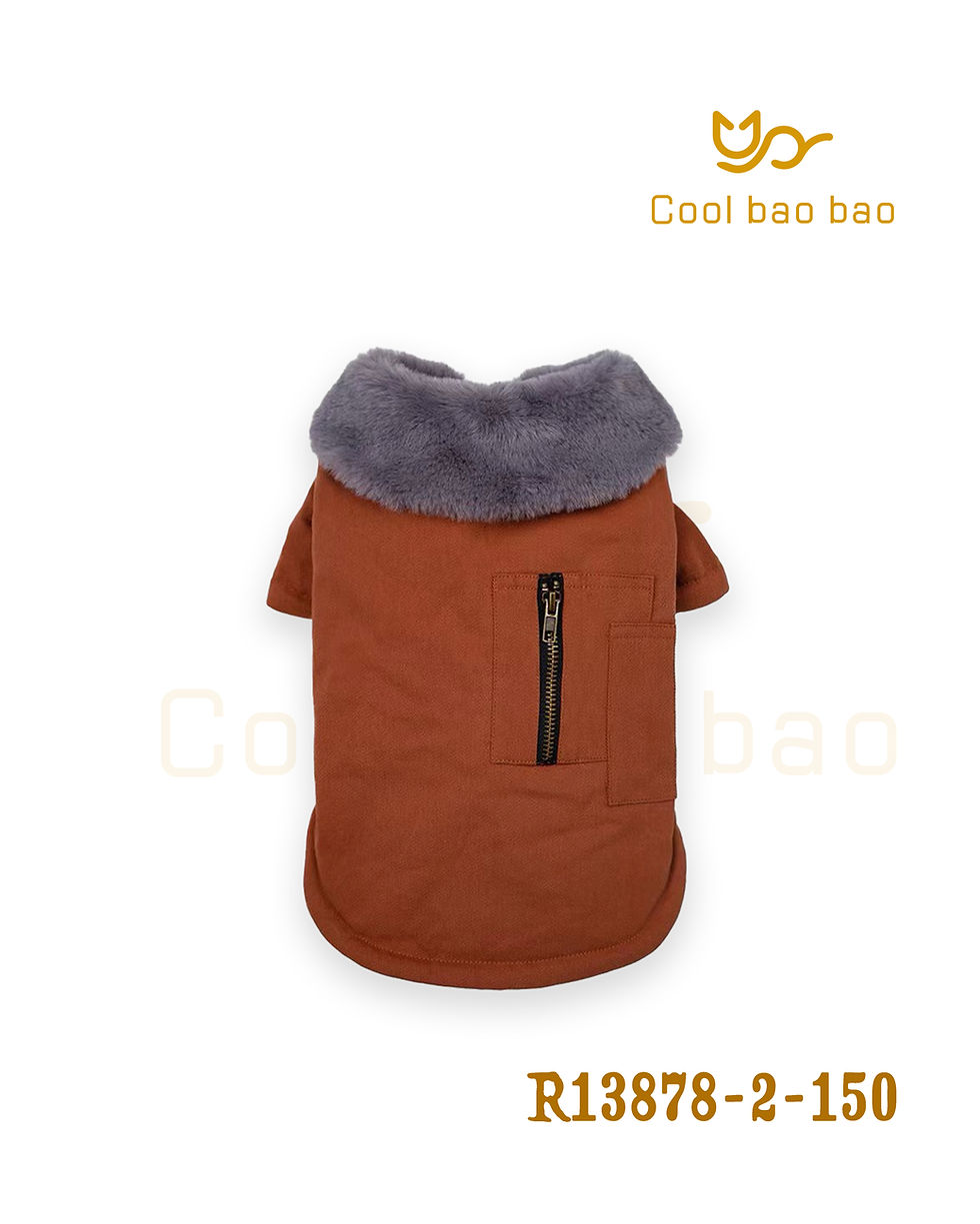Miniatura: R13878-2-150