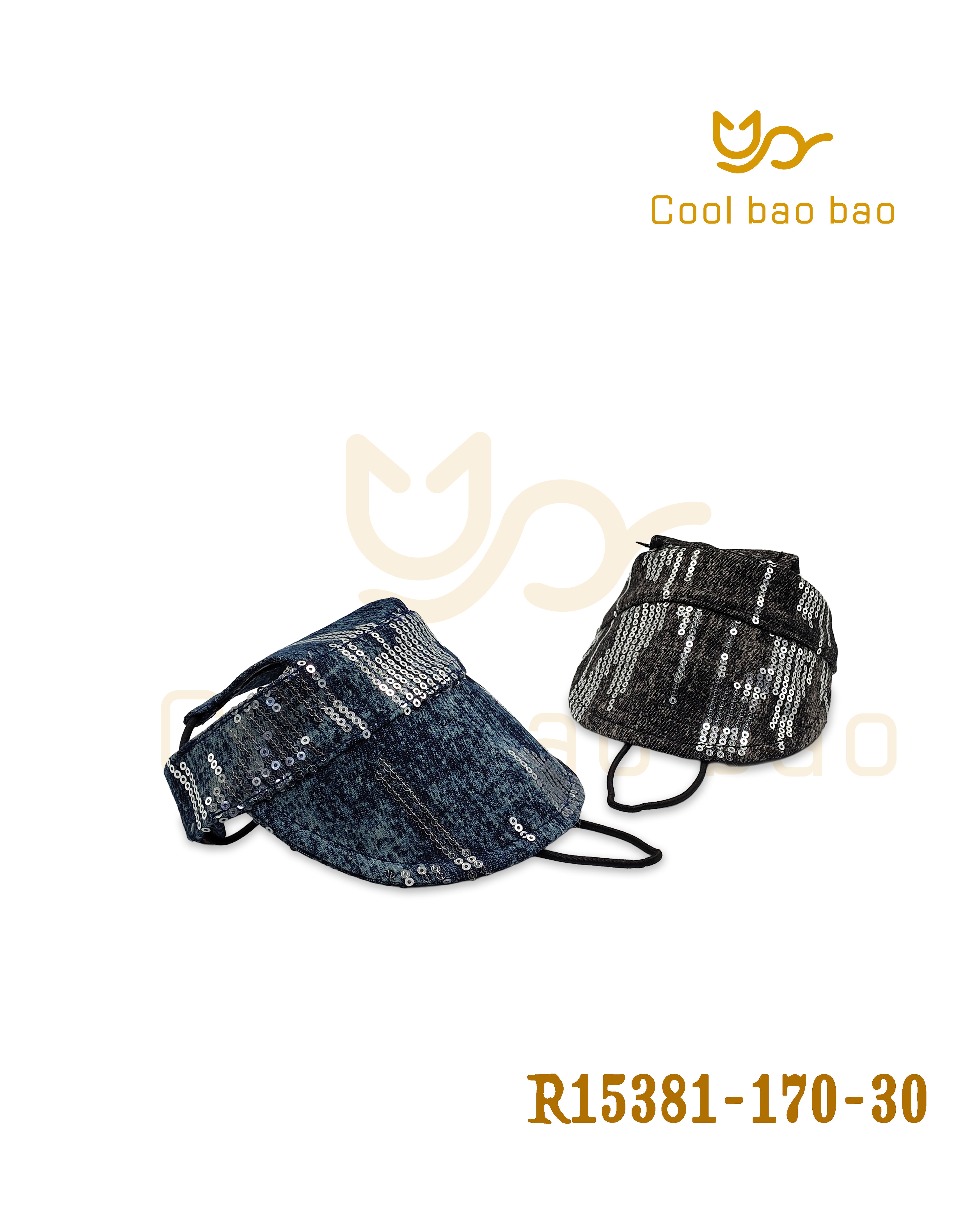 R15381-170-30