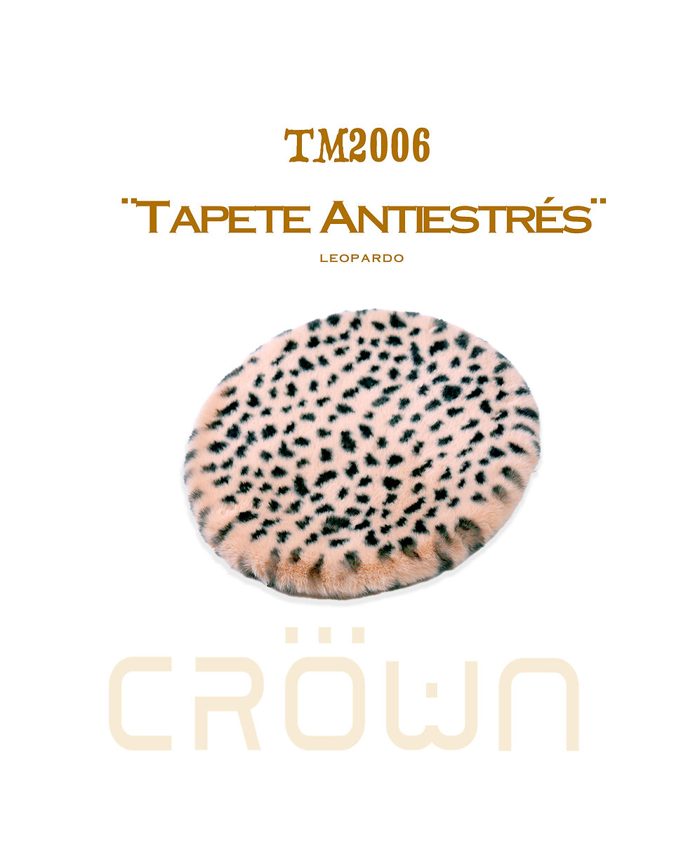 Miniatura: TM2006