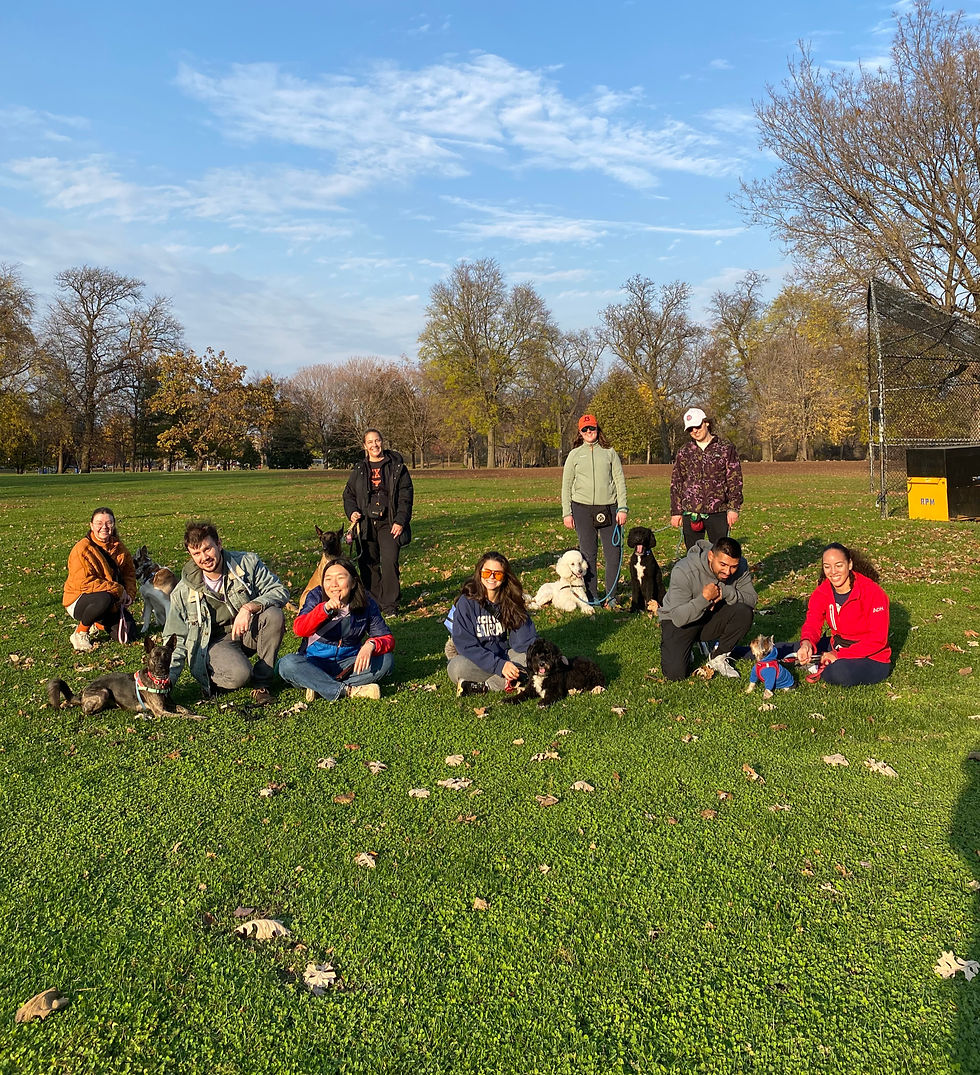 Group Class Poses in Park