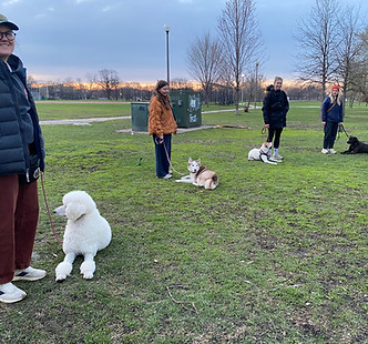 four dogs and owners pose at Humboldt Park