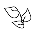 Screen Shot 2023-11-16 at 12.38.45 PM.png