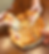 Best Pizza Pinecrest - Hidde Gem.png